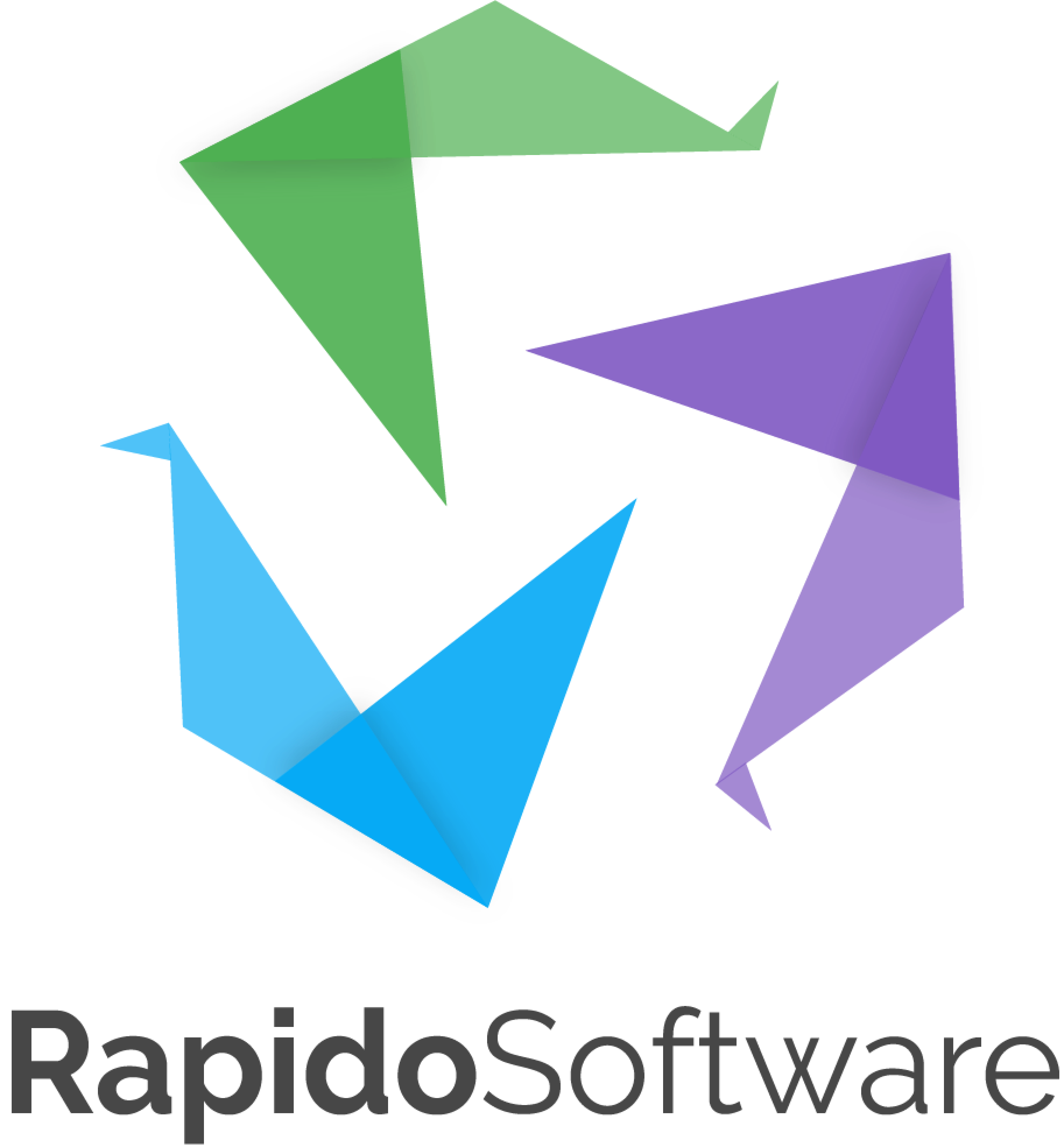 Logo RapidoSoftware